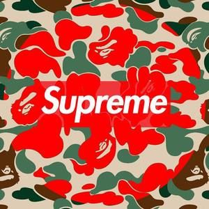 Meet your Posher, Dashawn